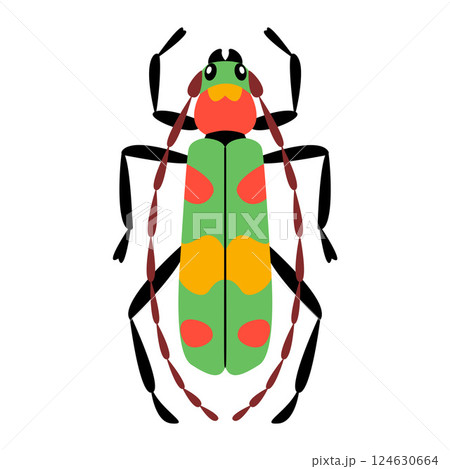 Stylized beetle with a unique and colorful design. Hand drawn trendy flat style. 124630664