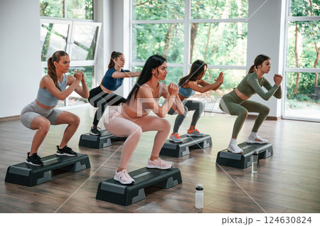 Endurance exercise. Group of women practicing fitness in the gym 124630824