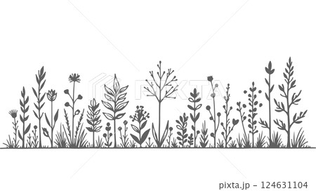 Wildflowers grass silhouette background. Different herbs plants border print engraving t-shirt print Black line art white background vector illustration 124631104
