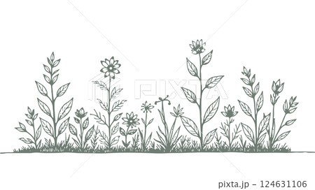 Flowers grow nature field. Leaves and grass springtime vibe. Greeting card print engraving t-shirt print monochrome white background vector illustration 124631106