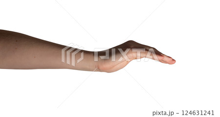 Female hand in a cupped shape with fingers gently curved, symbolizing offering, receiving, or 124631241