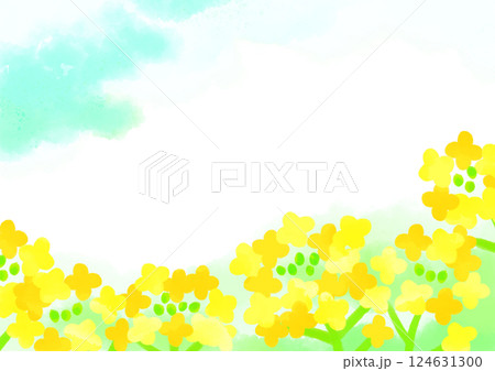 水彩で描く菜の花畑 124631300