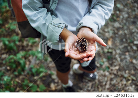 Holding conifer cone in hands. Girl is in the forest at summer day time discovering new places Holding conifer cone in hands. Girl is in the forest at summer day time discovering new places 124631518