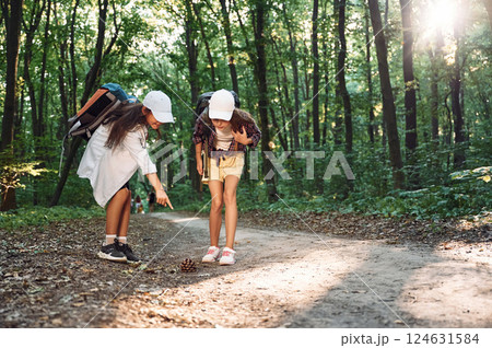 Looking at conifer cone. Two girls is in the forest having a leisure activity, discovering new places 124631584