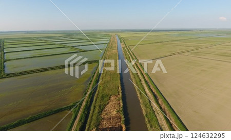 Growing rice on flooded fields. Ripe rice in the field, the beginning of harvesting. A birds-eye view. 124632295
