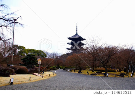 京都府　東寺・庭園 五重塔　京都市 南区 九条町　2022年2月 124633512