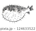 横顔の膨らんだハリセンボン 124633522