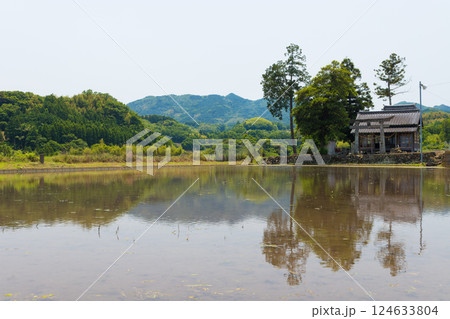 小さな神社と水田の反射（大分県由布市） 124633804