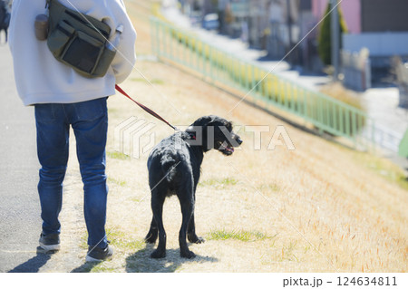 犬を散歩する男性 124634811