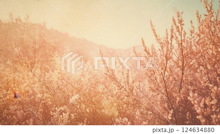 Tranquil sunrise over misty floral field with soft pastel tones 124634880