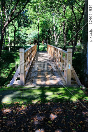 木組みの構造美… 木造の橋 124634934