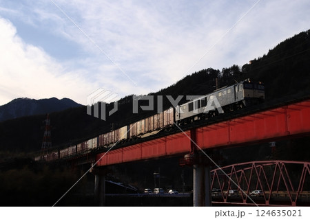 春の美しい太陽光に車体を輝かせるEF64形電気機関車牽引の貨物列車(81レ)_2025/3/1撮影 春の美しい太陽光に車体を輝かせるEF64形電気機関車牽引の貨物列車(81レ)_2025/3/1撮影 124635021