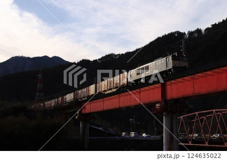 春の美しい太陽光に車体を輝かせるEF64形電気機関車牽引の貨物列車(81レ)_2025/3/1撮影 春の美しい太陽光に車体を輝かせるEF64形電気機関車牽引の貨物列車(81レ)_2025/3/1撮影 124635022