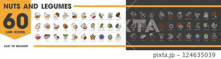 Nuts and legumes line icons. Almond, cashew, hazelnut, peanut and pecan, pistachio, kidney or beans. Soybeans, chia seeds, pine nuts, pumpkin or walnut. Brazil nut and chestnut, macadamia and coconut 124635039