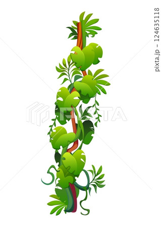Vertical tropical jungle rain forest liana vine branch. Cartoon vector leaves and hanging roots. Amazon rainforest flora, tree plant thicket, forest climbing green foliage, spinney, tropic nature 124635118