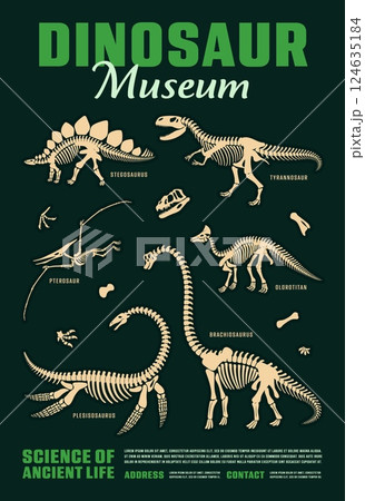 Dinosaur skeleton fossils for dino museum poster with Jurassic lizards, vector background. Prehistoric dinosaur and reptiles museum poster for paleontology exhibition of dino skeleton fossils 124635184