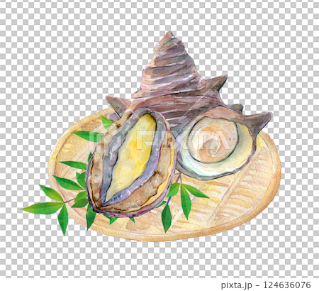 水彩イラスト ありがたい海の幸 鮑とサザエ 水彩イラスト ありがたい海の幸 鮑とサザエ 124636076