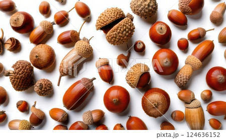 《AI画像》たくさんのドングリ 《AI画像》たくさんのドングリ 124636152