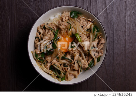 スタミナ丼 スタミナ丼 124636242