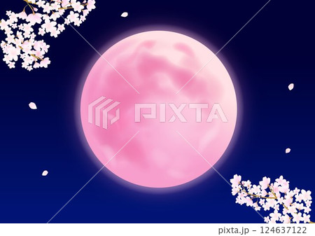 ピンクムーンの月と桜の花びら 124637122