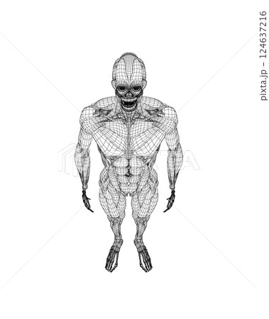 Human body anatomy male man wireframe , muscular system of muscles . Flat medical scheme poster of training healthcare gym wireframe, vector illustration. Male body muscular system sketch drawing. 3D. 124637216