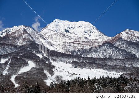 快晴の雪景色の妙高高原 妙高山山ろくにゲレンデが広がる 124637235