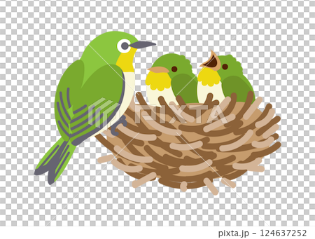 繡眼鳥養幼鳥的圖畫 繡眼鳥養幼鳥的圖畫 124637252