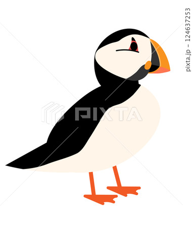 パフィン / Puffin 124637253