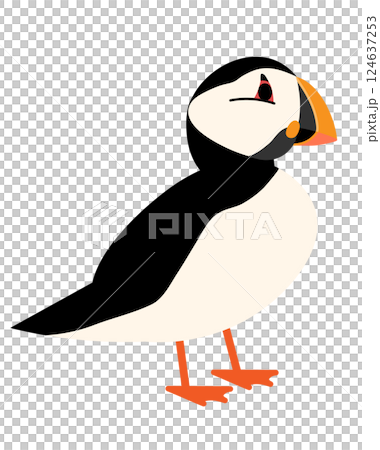 海鸚 海鸚 124637253