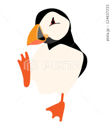 パフィン / Puffin 124637255