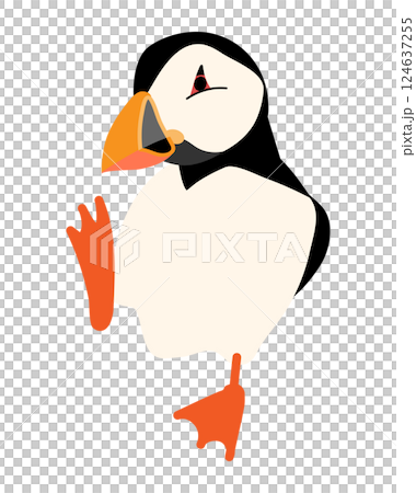 Puffin Puffin 124637255