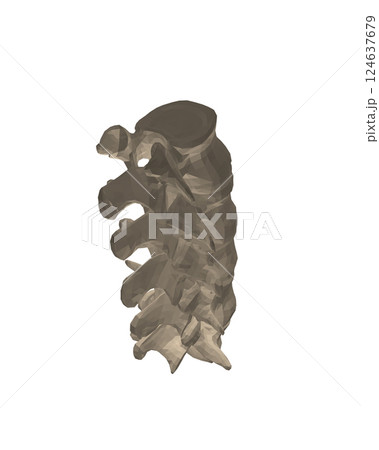 Vector illustration spine diagnostic symbol, design, sign. Vector icon. Line design. Spine bones and structure. Medicine and anatomy. Anatomical polygonal structure of man. Concept illustration. 3D. Vector illustration spine diagnostic symbol, design, sign. Vector icon. Line design. Spine bones and structure. Medicine and anatomy. Anatomical polygonal structure of man. Concept illustration. 3D. 124637679