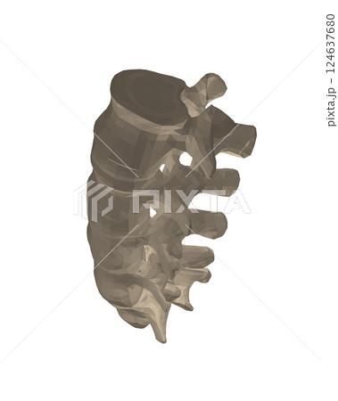 Vector illustration spine diagnostic symbol, design, sign. Vector icon. Line design. Spine bones and structure. Medicine and anatomy. Anatomical polygonal structure of man. Concept illustration. 3D. 124637680