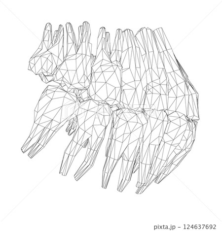 Teeth wireframe. Hand drawn different types of human tooth collection. Dentist graphic template. Engraving fangs and molars. Dental oral care. Toothache treatment. Vector stomatology set. 3D 124637692