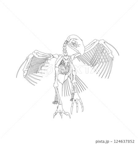 Vector antique engraving drawing illustration of bird skeleton isolated on white background. 3D. Detailed outline of the skeleton of an ancient bird. Vector antique engraving drawing illustration of bird skeleton isolated on white background. 3D. Detailed outline of the skeleton of an ancient bird. 124637852