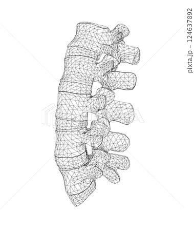 Vector illustration spine diagnostic symbol, design, sign. Vector icon. Line design. Spine bones and structure. Medicine and anatomy. Anatomical wireframe structure of man. Concept illustration. 124637892