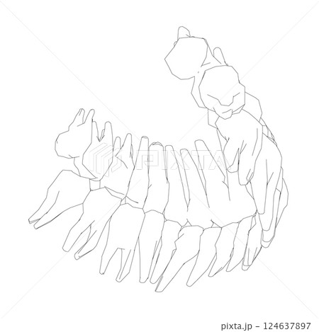 Teeth contour. Hand drawn different types of human tooth collection. Dentist graphic template. Engraving fangs and molars. Dental oral care. Toothache treatment. Vector stomatology set 124637897