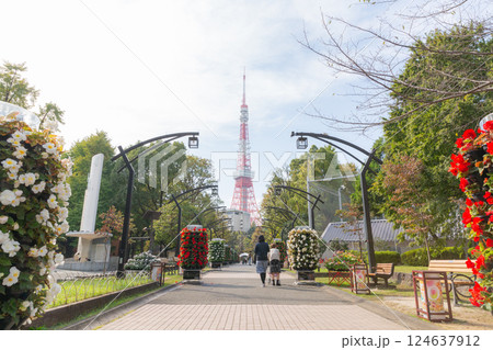 【日本】東京都港区の芝公園のカラフルな花が咲いた生垣が並ぶ通り越しに見える東京タワー 【日本】東京都港区の芝公園のカラフルな花が咲いた生垣が並ぶ通り越しに見える東京タワー 124637912