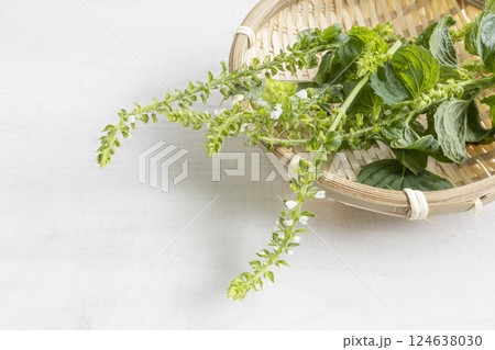 食材-しその花 124638030