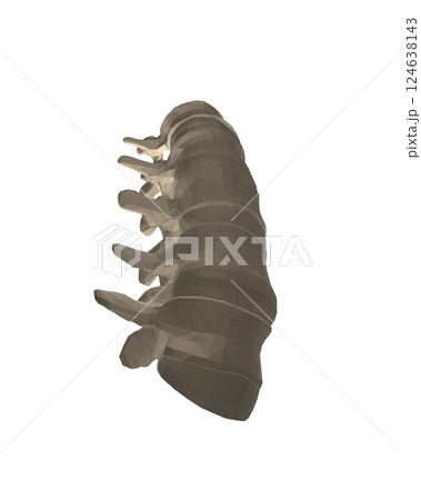 Vector illustration spine diagnostic symbol, design, sign. Vector icon. Line design. Spine bones and structure. Medicine and anatomy. Anatomical polygonal structure of man. Concept illustration. 3D. Vector illustration spine diagnostic symbol, design, sign. Vector icon. Line design. Spine bones and structure. Medicine and anatomy. Anatomical polygonal structure of man. Concept illustration. 3D. 124638143