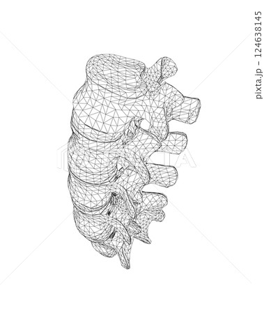 Vector illustration spine diagnostic symbol, design, sign. Vector icon. Line design. Spine bones and structure. Medicine and anatomy. Anatomical wireframe structure of man. Concept illustration. Vector illustration spine diagnostic symbol, design, sign. Vector icon. Line design. Spine bones and structure. Medicine and anatomy. Anatomical wireframe structure of man. Concept illustration. 124638145