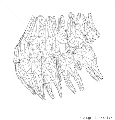 Teeth wireframe. Hand drawn different types of human tooth collection. Dentist graphic template. Engraving fangs and molars. Dental oral care. Toothache treatment. Vector stomatology set. 3D Teeth wireframe. Hand drawn different types of human tooth collection. Dentist graphic template. Engraving fangs and molars. Dental oral care. Toothache treatment. Vector stomatology set. 3D 124638157