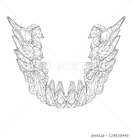 Teeth wireframe. Hand drawn different types of human tooth collection. Dentist graphic template. Engraving fangs and molars. Dental oral care. Toothache treatment. Vector stomatology set. 3D 124638448
