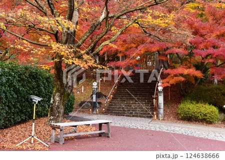 伊豆市　修善寺虹の郷の匠の村入口と紅葉 124638666