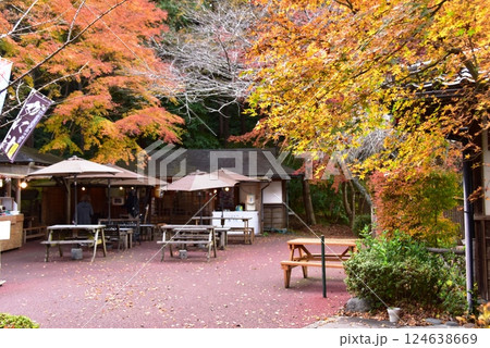 伊豆市　修善寺虹の郷の伊豆の村の紅葉と飲食店 124638669