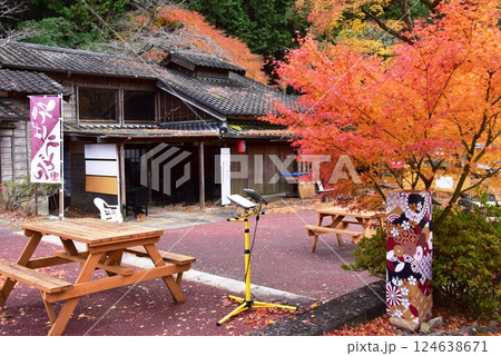 伊豆市　修善寺虹の郷の伊豆の村の紅葉と飲食店 124638671
