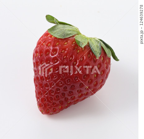 とちあいか いちご とちあいか いちご 124639278