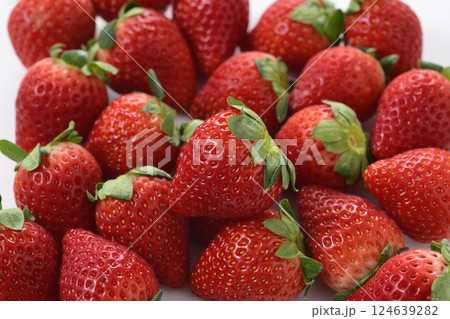 とちあいか いちご とちあいか いちご 124639282