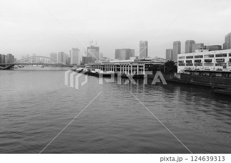 今は昔…活気に満ちた魚河岸の風景　鮮魚市場・場内 124639313