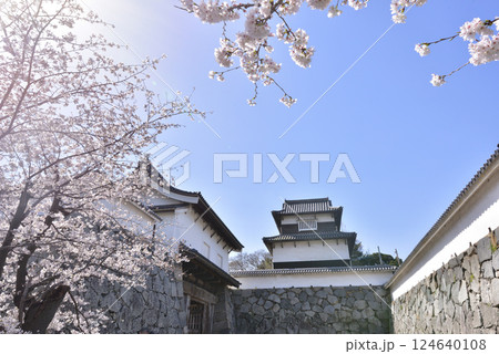 春の福岡城　下之橋御門　潮見櫓　福岡市中央区舞鶴公園　 124640108